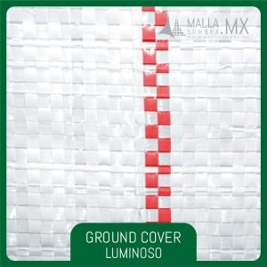 Ground Cover Luminoso