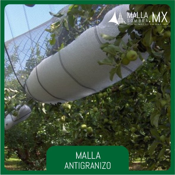 Malla Antigranizo Reforzado - Imagen 2