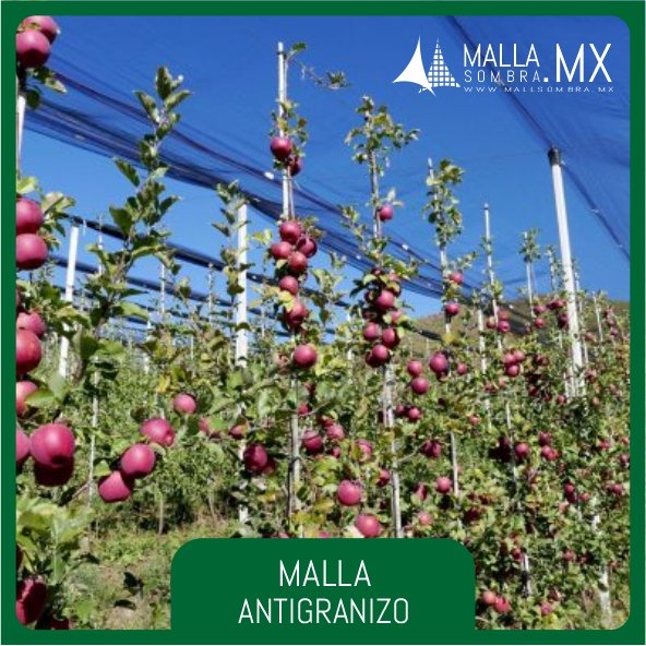 Malla Antigranizo Reforzado - Imagen 3