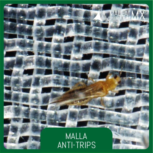 Malla 82 y 76 Anti-Trips VC (Ventana Cenital) - Imagen 4
