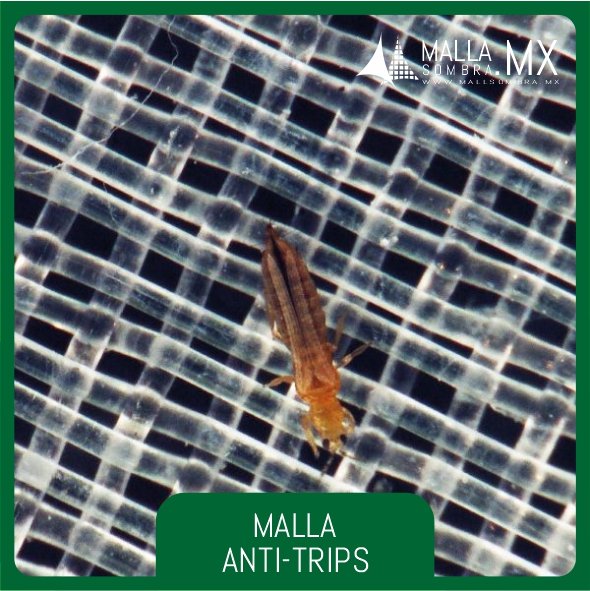 Malla 82 y 76 Anti-Trips VC (Ventana Cenital) - Imagen 2
