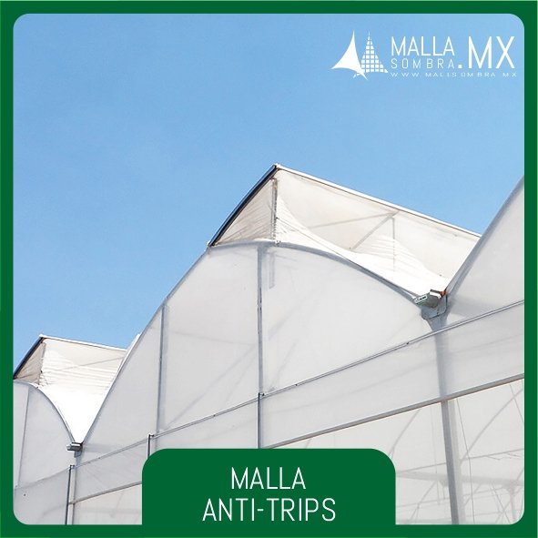 Malla 82 y 76 Anti-Trips VC (Ventana Cenital) - Imagen 3