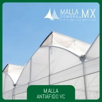 Malla Antiáfido VC (Ventana Cenital)