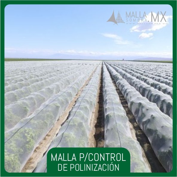 Malla Para Control de Polinización - Imagen 2