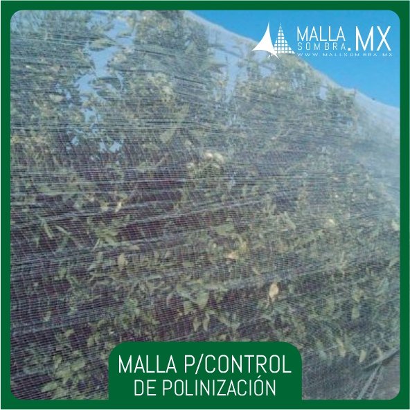 Malla Para Control de Polinización - Imagen 3