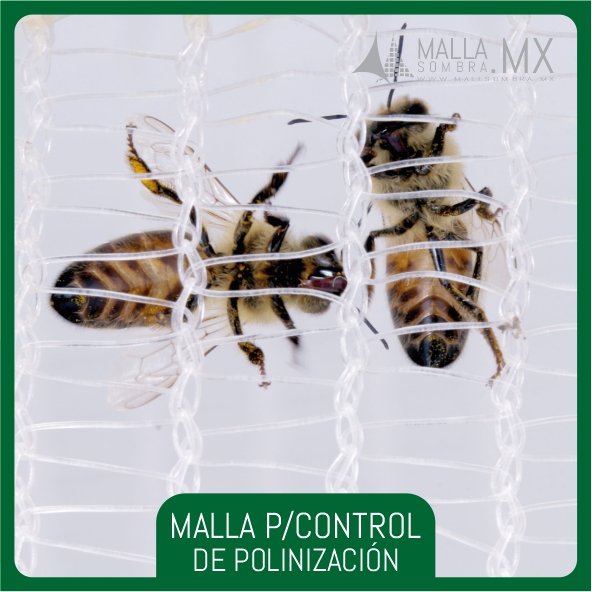 Malla Para Control de Polinización