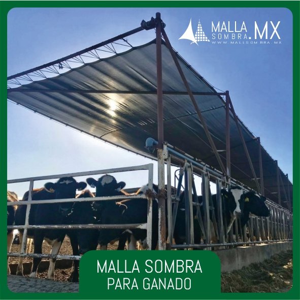 Malla Sombra para Ganado