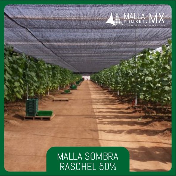 50% Malla Sombra Raschel - Imagen 2